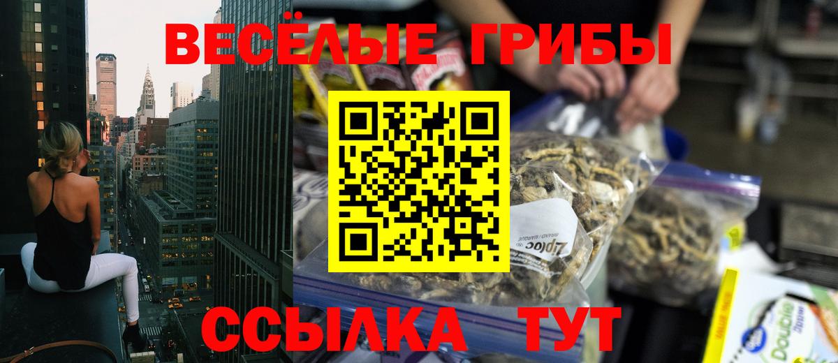 Клинцы  Псилоцибиновые грибы мухоморы  Вход с VPN 