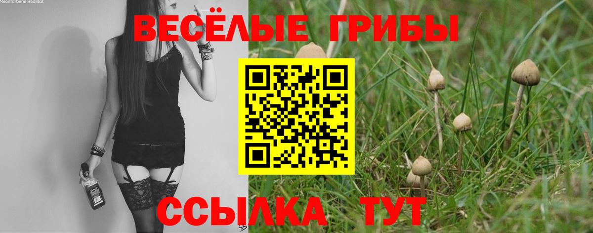 Псилоцибиновые грибы GOLDEN TEACHER Клинцы